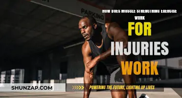 Muscle Strengthening Exercises: Effective Injury Recovery and Prevention Strategies