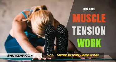 Understanding Muscle Tension: Causes, Effects, and Relief Strategies Explained