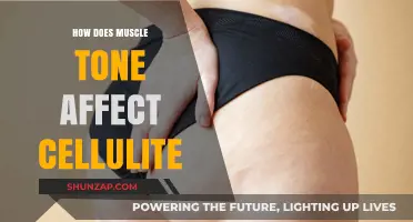 Sculpted Smoothness: How Muscle Tone Impacts Cellulite Appearance