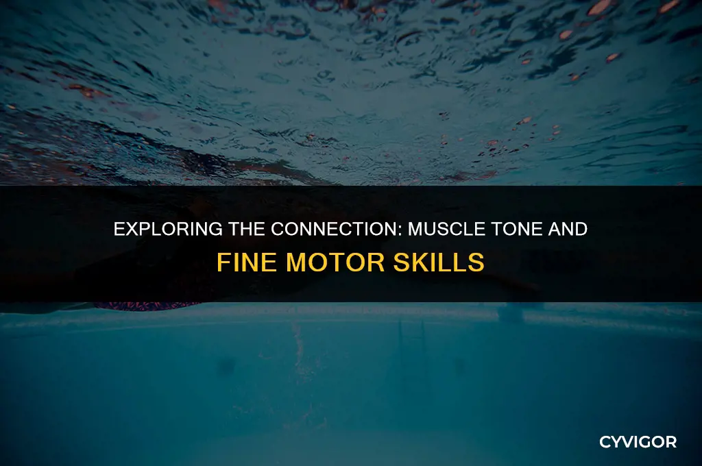 how does muscle tone affect fine motor skills