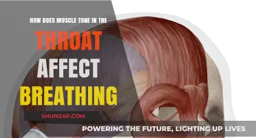 The Impact of Throat Muscle Tone on Breathing: A Comprehensive Guide