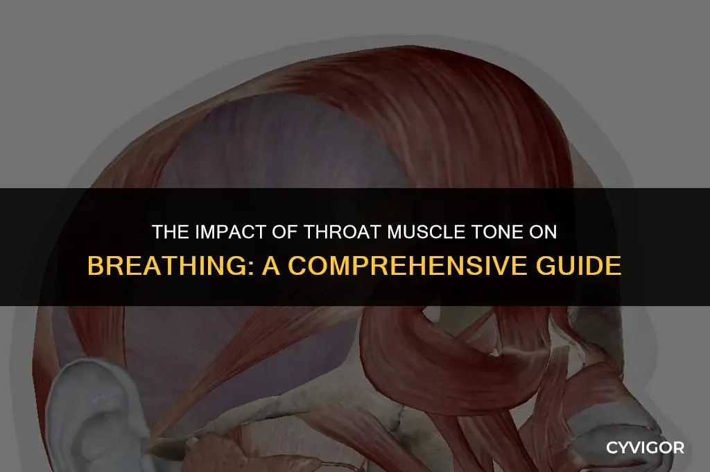 how does muscle tone in the throat affect breathing