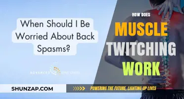 Understanding Muscle Twitching: Causes, Mechanisms, and When to Worry