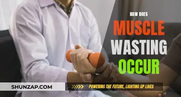 Understanding Muscle Wasting: Causes and Mechanisms