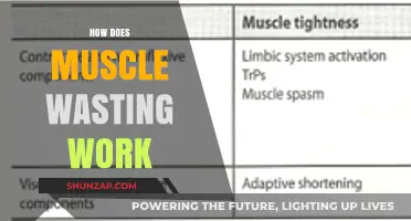 Understanding Muscle Wasting: Causes, Mechanisms, and Prevention Strategies