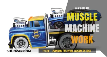 Understanding Your Muscle Machine: Mechanics, Benefits, and Optimal Usage Explained