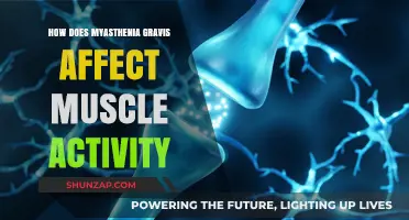 Understanding Myasthenia Gravis: The Impact on Muscle Function and Daily Life
