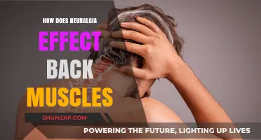Understanding Neuralgia's Impact on Back Muscles: A Comprehensive Guide