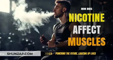 Unveiling the Impact: How Nicotine Influences Muscle Function and Health