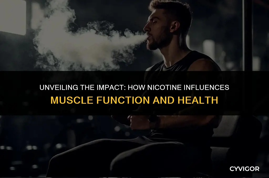 how does nicotine affect muscles