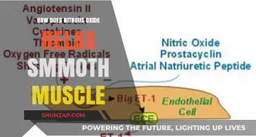 Nitrous Oxide's Mechanism: Relaxing Smooth Muscle Explained Simply