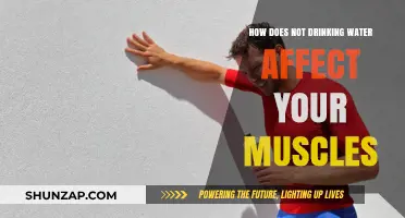 The Surprising Impact of Dehydration on Muscle Health and Performance