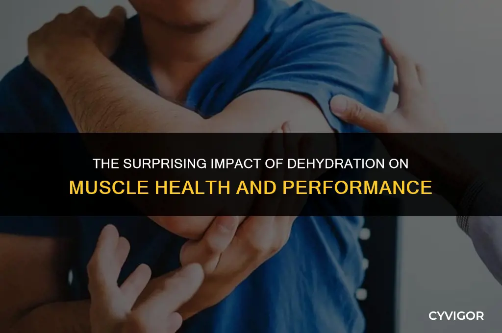 how does not drinking water affect your muscles