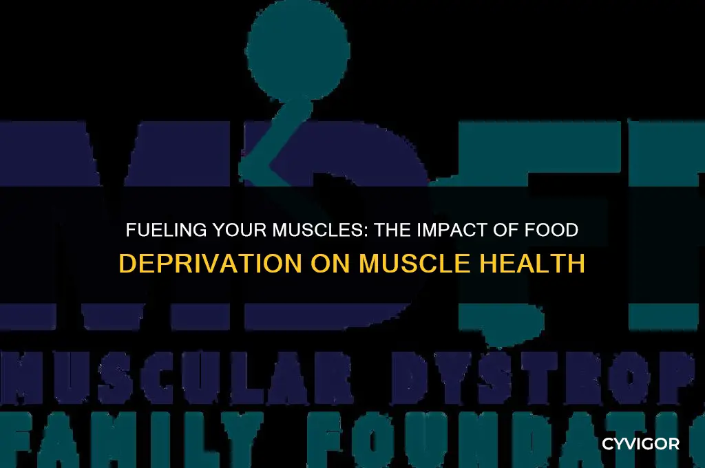 how does not eating food affect the muscles