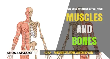 Fuel Your Strength: The Impact of Nutrition on Muscles and Bones
