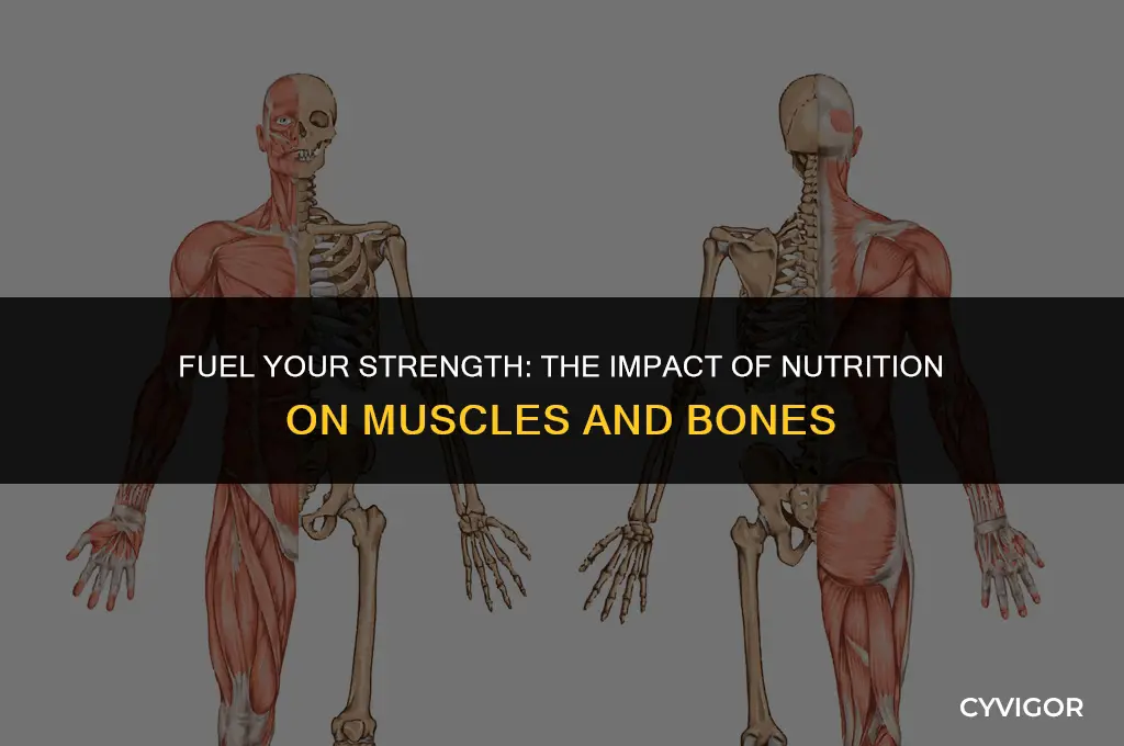 how does nutrition affect your muscles and bones