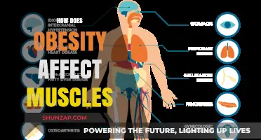 The Impact of Obesity on Muscle Health and Function