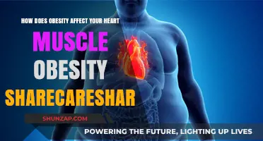 The Impact of Obesity on Heart Muscle Health
