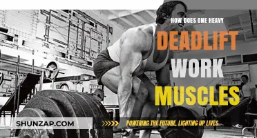 Mastering the Heavy Deadlift: Muscle Engagement and Strength Building Explained