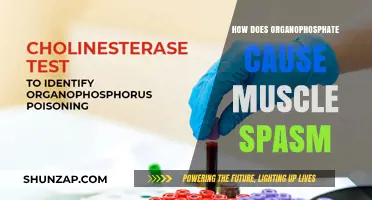 Organophosphate Exposure: Muscle Spasms and You