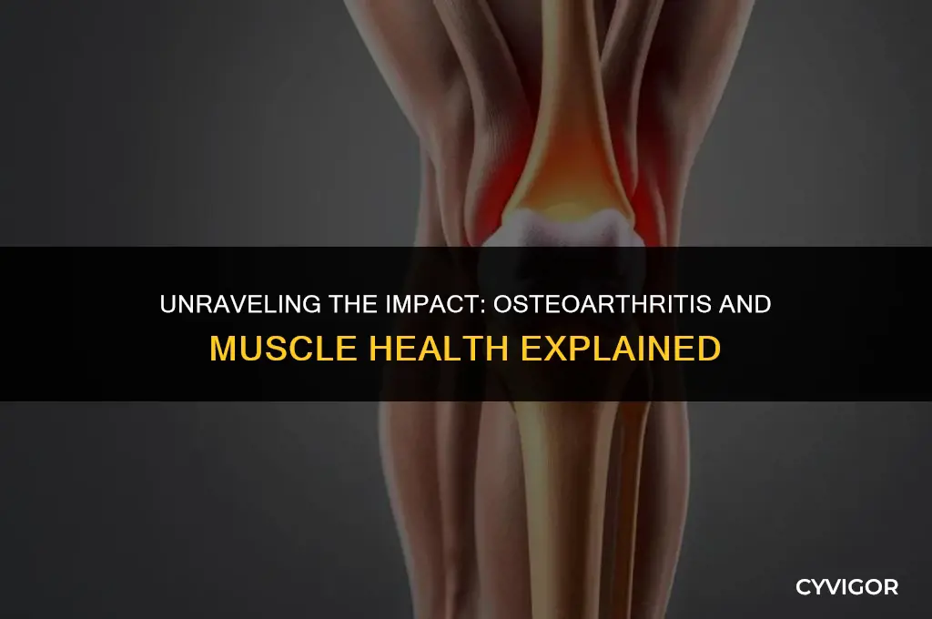how does osteoarthritis affect the muscles