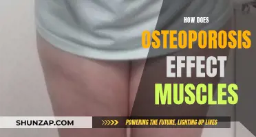 Osteoporosis' Muscular Impact: Understanding the Complex Relationship