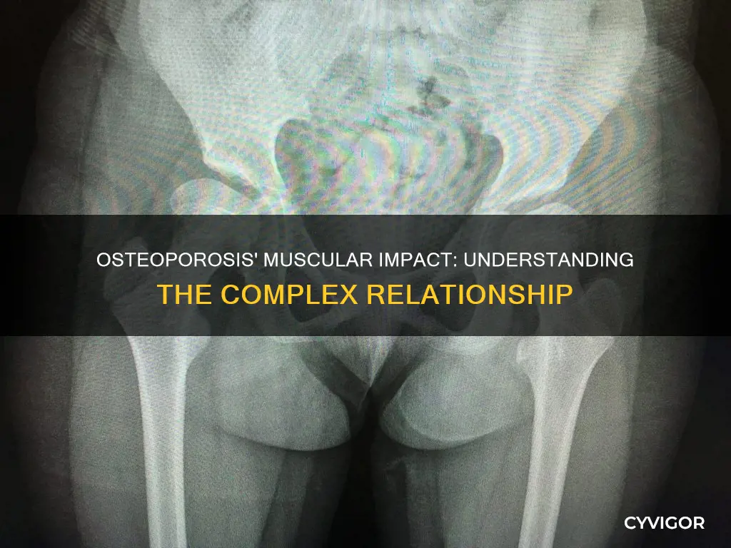 how does osteoporosis effect muscles