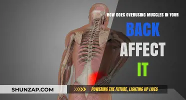 The Impact of Overusing Back Muscles: A Comprehensive Guide