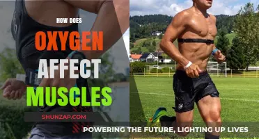 Unleashing Muscle Potential: The Power of Oxygen in Fitness