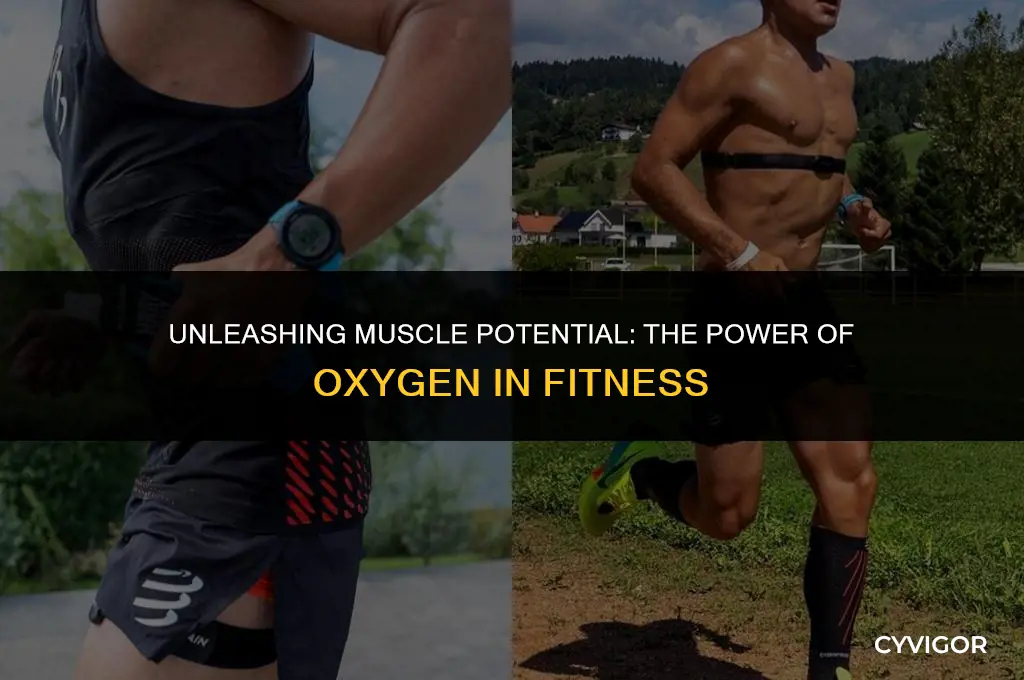 how does oxygen affect muscles