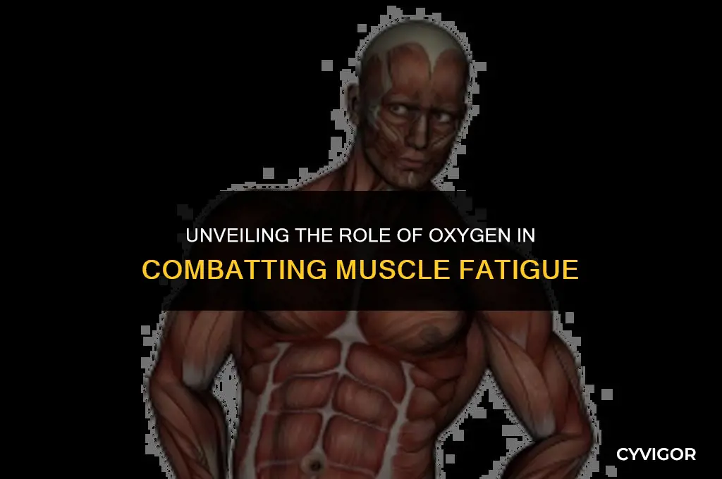 how does oxygenation affect muscle fatigue