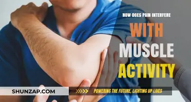 Pain's Impact: How It Disrupts and Limits Muscle Function and Activity
