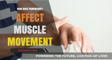 Unraveling Parkinson's Impact: A Deep Dive into Muscle Movement