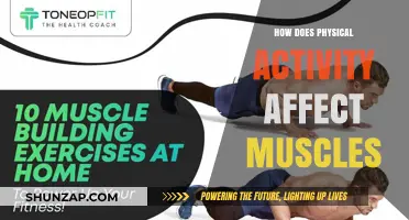 Unleashing the Power: How Physical Activity Transforms Your Muscles