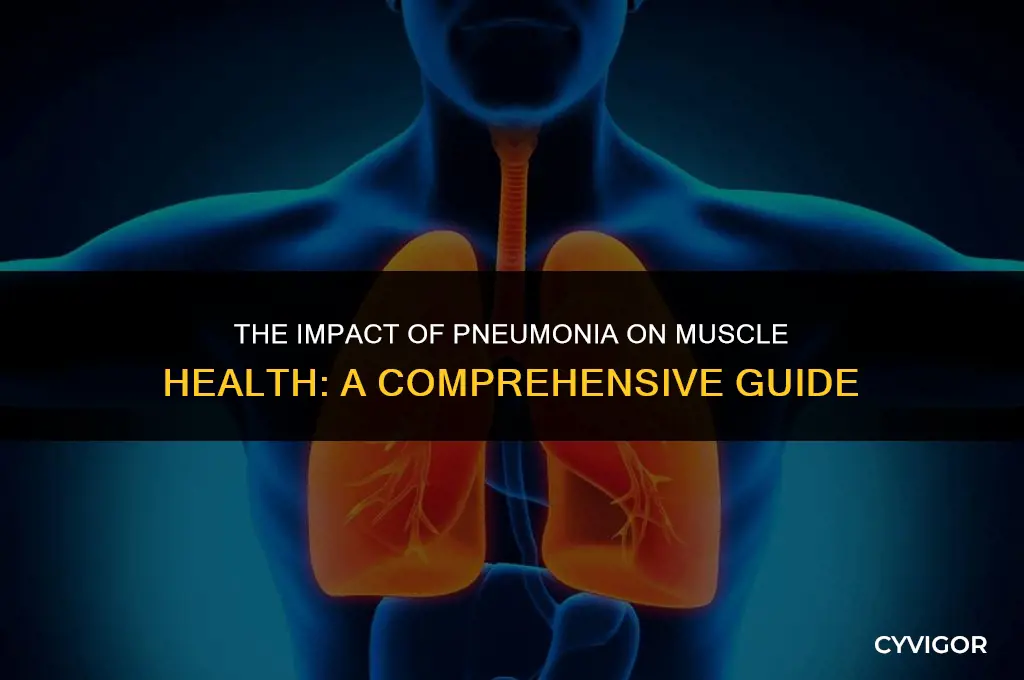 how does pneumonia affect your muscles