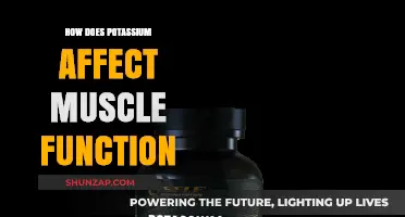 Unlocking Muscle Potential: The Power of Potassium in Action