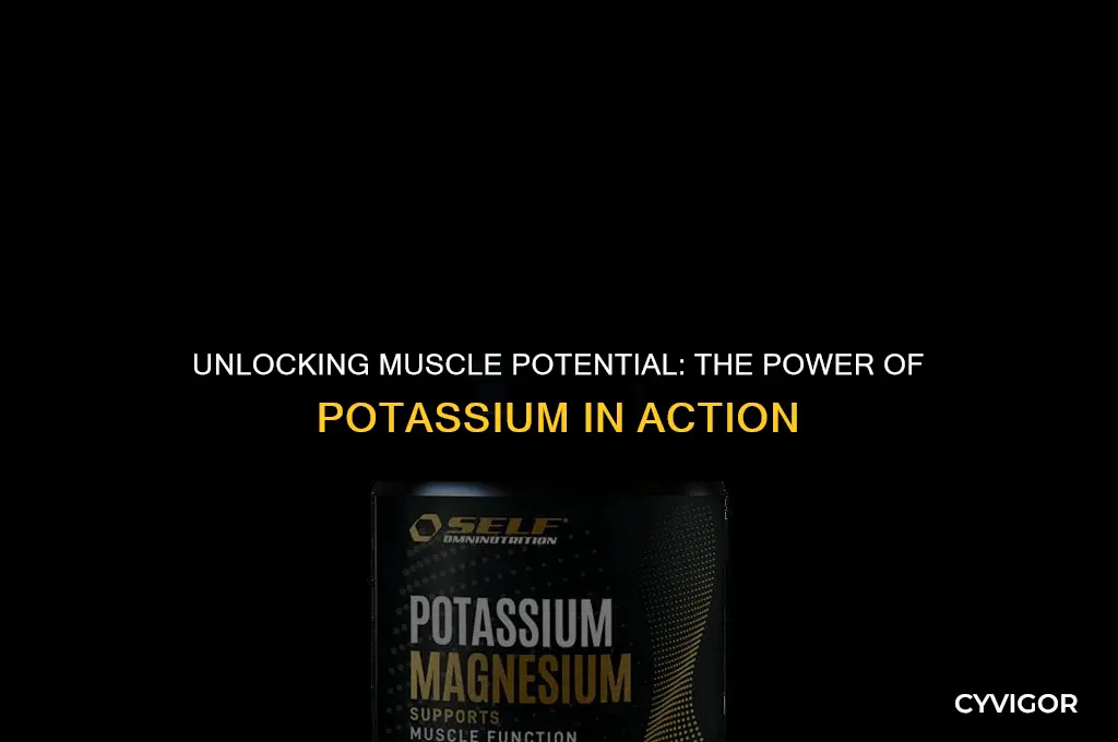 how does potassium affect muscle function