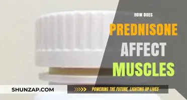 Unveiling the Impact of Prednisone on Muscle Health and Function