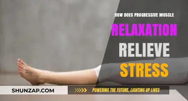 Progressive Muscle Relaxation: A Powerful Technique to Relieve Stress and Tension