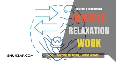 Progressive Muscle Relaxation: Unwinding Stress Through Systematic Tension Release