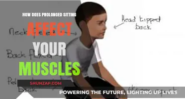 The Hidden Dangers of Prolonged Sitting: A Muscular Perspective