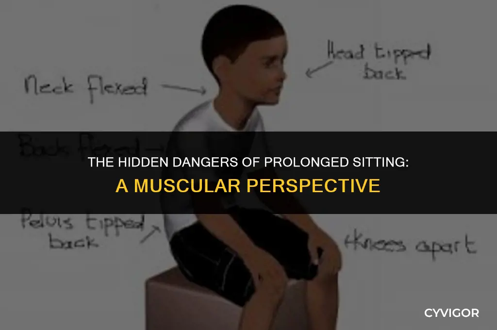 how does prolonged sitting affect your muscles