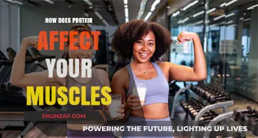 Unlocking Muscle Growth: The Power of Protein Explained