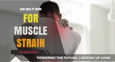 Understanding Physical Therapy's Role in Healing Muscle Strains Effectively