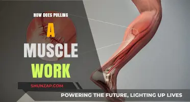 Understanding Muscle Strains: How Does Pulling a Muscle Work?