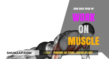 Mastering Push-Ups: How They Target and Build Muscle Effectively