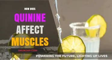 Unveiling the Impact of Quinine on Muscle Function and Health