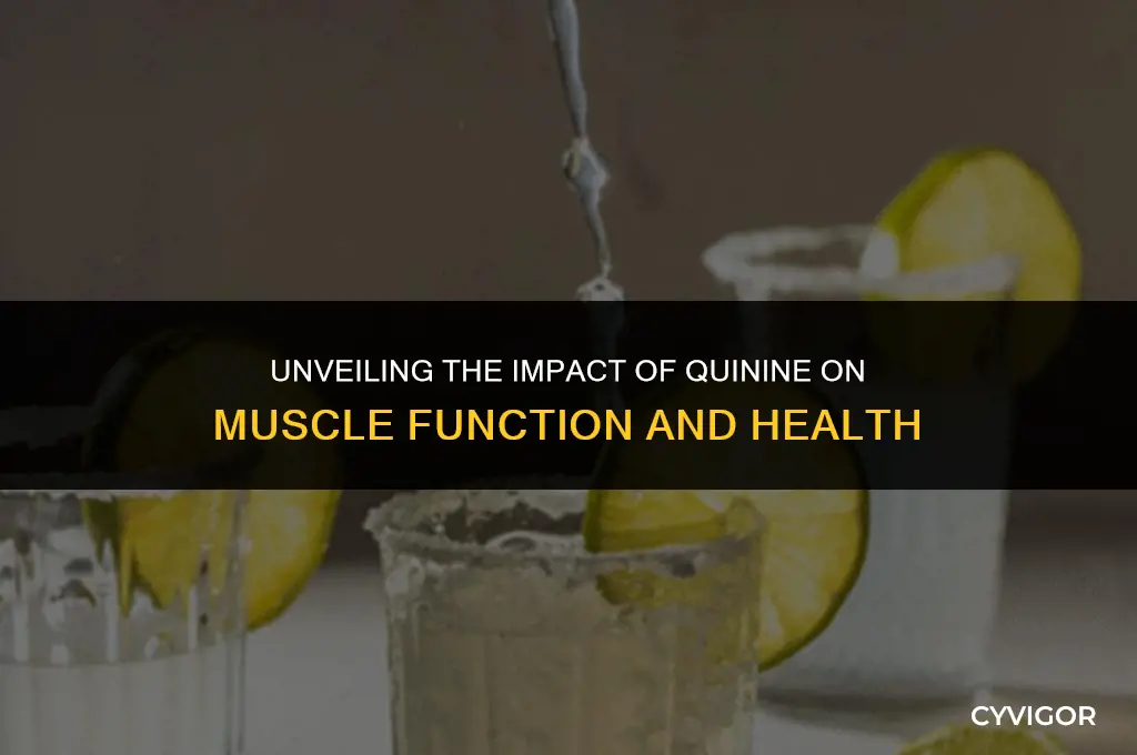 how does quinine affect muscles