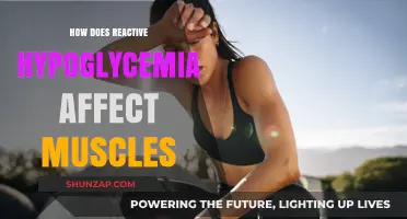 Reactive Hypoglycemia: Impact on Muscle Function and Performance