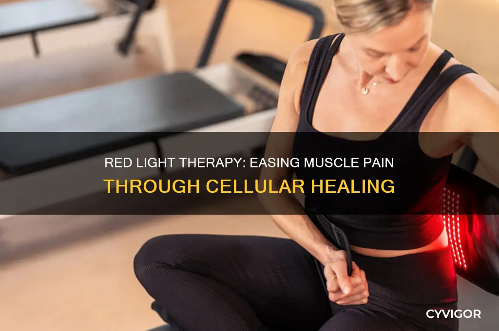 how does red light therapy work for muscle pain